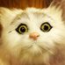 Chris Wittman - Facebook