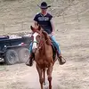 Christopher Wolfe - @christopherwolfe60 - TikTok