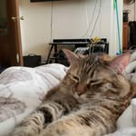 Christopher Lee Wynn - @neo.wynn - Instagram