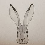 Christopher Wynn - @bun.e.rabbit - Instagram