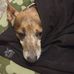 Christopher Wynn - Facebook