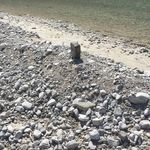 Christopher Yarbrough - @iamkingofthemountainstream - Instagram