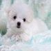 Christopher Yim - Facebook