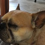 Chris/Ji-Sum - @christopher.yuen.ok - Instagram