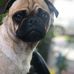 Christopher Zermeno - Facebook