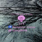 Christy Atkinson - @tlcvinyl2014 - Instagram