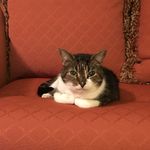 Christy Beard Wise - @wise11975 - Instagram