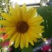 Christi Bearden - Facebook