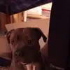 Christi Becker - @christi.becker - TikTok