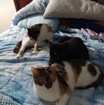 Christy Beckmann - Facebook