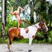 Christy Berg - Facebook