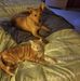 Christy Brandon - Facebook