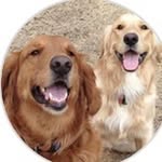 Christy Cagle Wentz - @christycaglewentz - Instagram