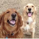 Christy Cagle Wentz - @ccagle98 - Instagram