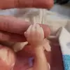 christycantercraf - @christy.canter.cr - TikTok