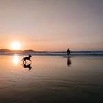 Christine Crowley - @sparecrowley - Instagram