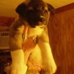 Christine Dellinger - @christihippie - Instagram