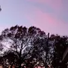 Christy Fields - @christyjohnson721 - TikTok