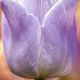 Christy Heim - Facebook