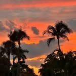christy helm | wpbgypset - @westpalmbeachgypset - Instagram