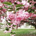 Christy Henley Greanead - @greanead - Instagram
