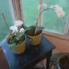 Christy Hoffmeyer Delaney - @christy.hoffmeyer - TikTok