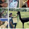 Christy Hoffrichter - @christy_hoff - TikTok