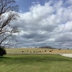 Christy Kozak Hoffmann - @christyhoff - Instagram