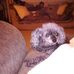 Christy Holmes - Facebook