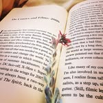 Christy Howell - @junglebookshelf - Instagram