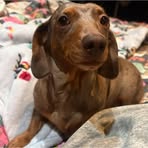 Christy Howell-Gregg - Facebook