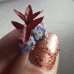 Christopher Innes - @christopherinnes - Instagram