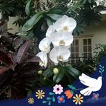 Christy Jackman - @jackmanchristy - Instagram