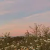 christylawrence63 - @christylawrence63 - TikTok
