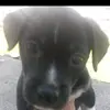 Chris Maples - @chrismaples2 - TikTok