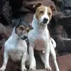 Christine Maxwell - @christine.maxwell78 - TikTok