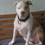 Christy McBride - @mcbridechristy - Instagram