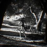 Christy McBride - @diezel_613 - Instagram