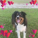 Christy Murphree - @cmurf234 - Instagram