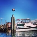 Christopher Noyes - @chris_noyes - Instagram