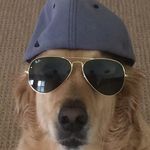 Christy Orr Schenck - @christyschenck0731 - Instagram