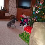 Christy Pearce - Facebook