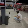 chris pham - @_chris.pham_2 - TikTok
