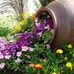 Christy Pham - Facebook