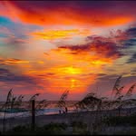 Christy Ramey Swendsen - @mcwester1 - Instagram