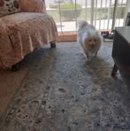 Christy Schultz - Facebook