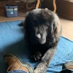 Christy Schultz - @christyschultz73 - Instagram