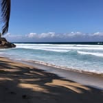 Christy Steele - @steelehere2023 - Instagram