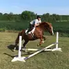 Christy Steele - @christysteele445 - TikTok