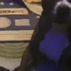 Chrissy Stringer - @chrissystringer - TikTok